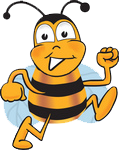 abeille sport
